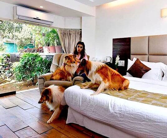 India's first petting zoo at Manas Resort Igatpuri