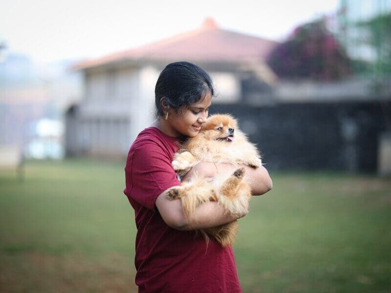Dogs with a guest on the lawn at Manas pet-friendly resort, Igatpuri