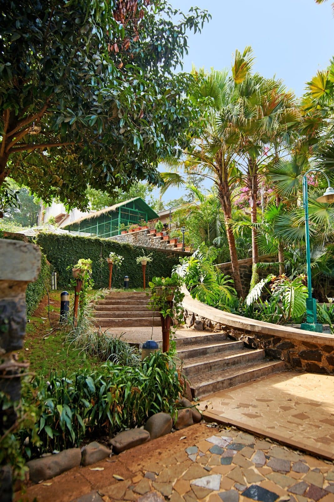 Evening stroll on green lawns at Manas Resort Igatpuri