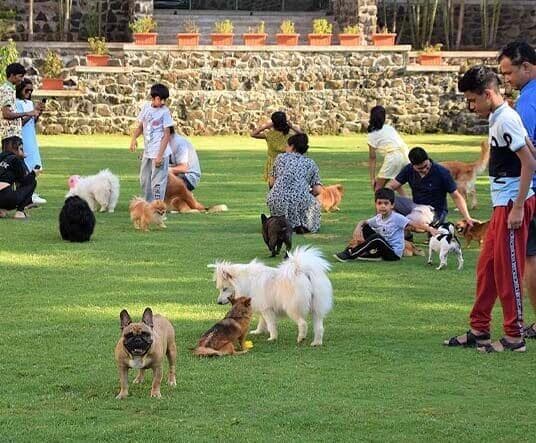 15,000 sq ft off-leash dog park at Manas pet-friendly resort Igatpuri