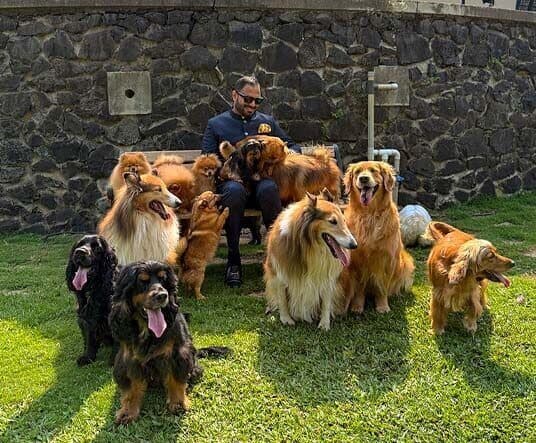 Pet therapy calm interaction at Manas Resort Igatpuri