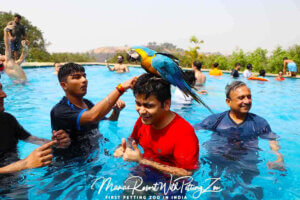 Pet Friendly Resort Near Mumbai