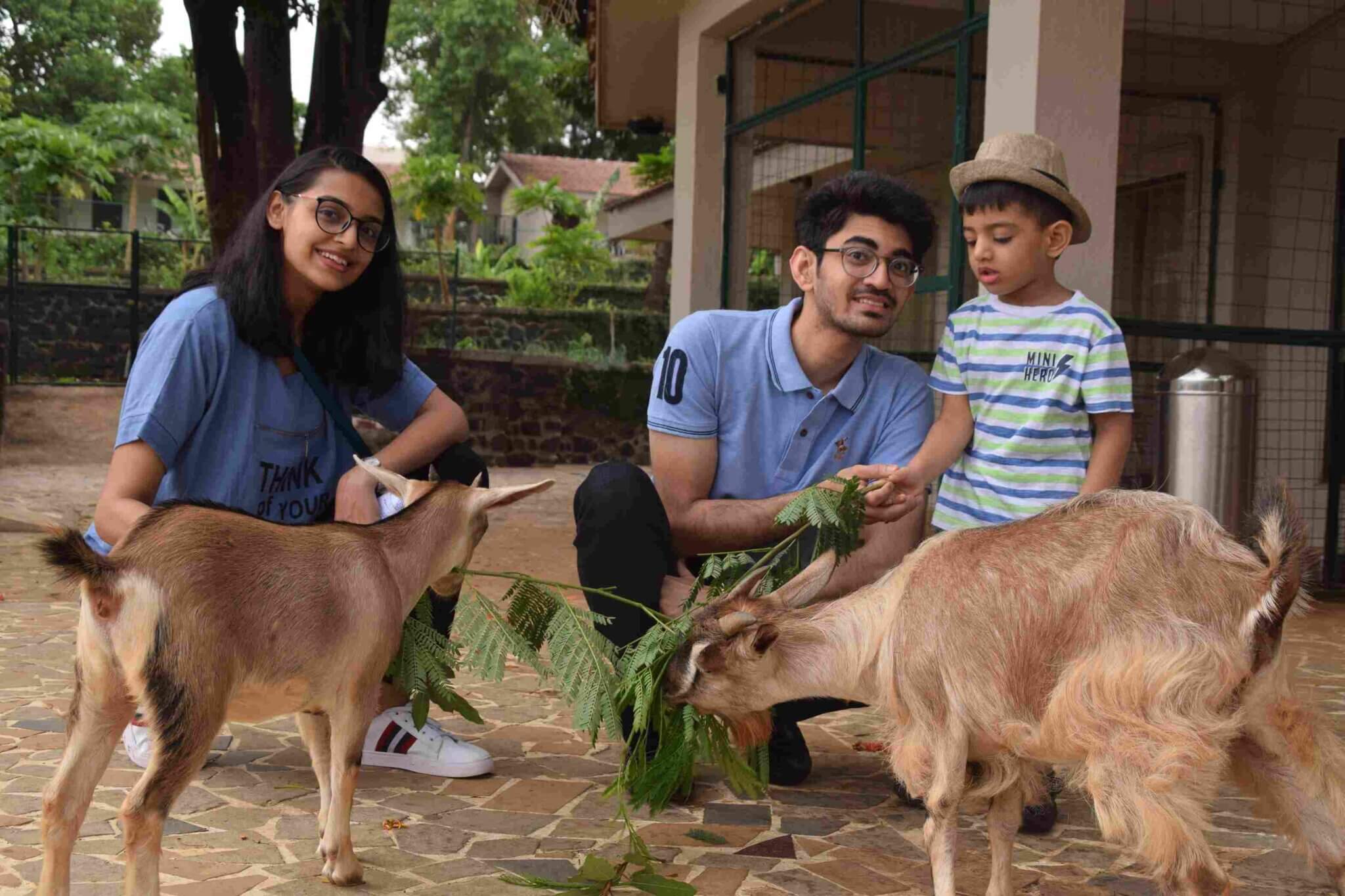 best-picnic-spot-near-mumbai-no-1-manas-resort
