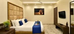 Luxury Resort In Igatpuri 10 Royal Villa